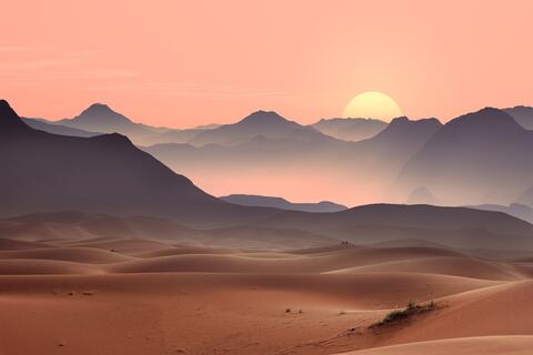 Sun Scene