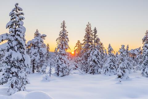 Ice fall Scene
